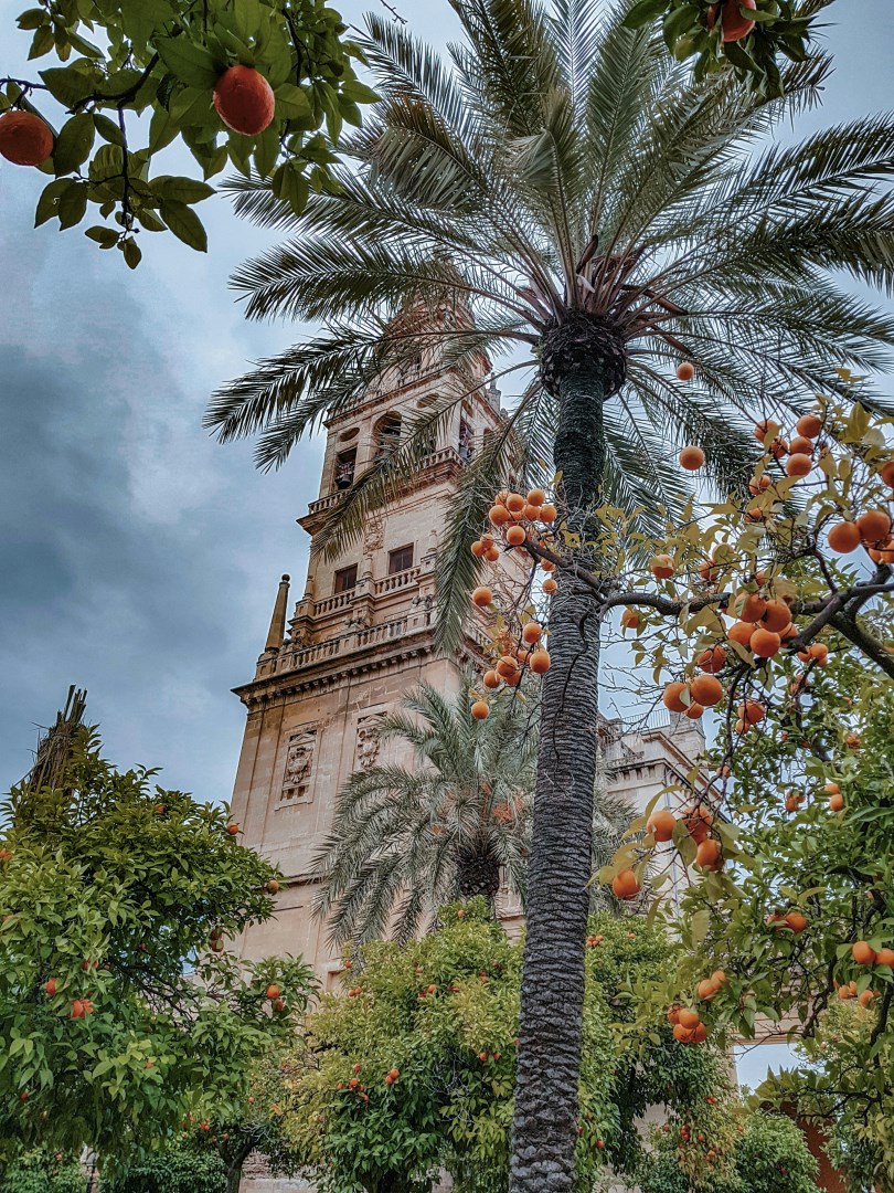  Photo Credit: Photo by Amin Safaripour on Unsplash