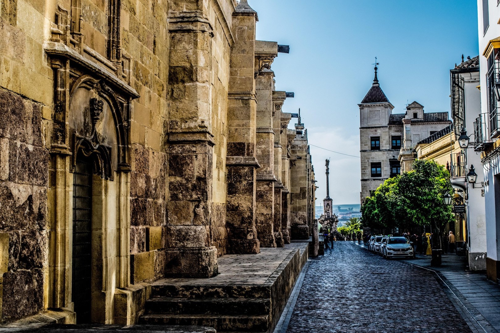  Photo Credit: Image by javier alamo from Pixabay