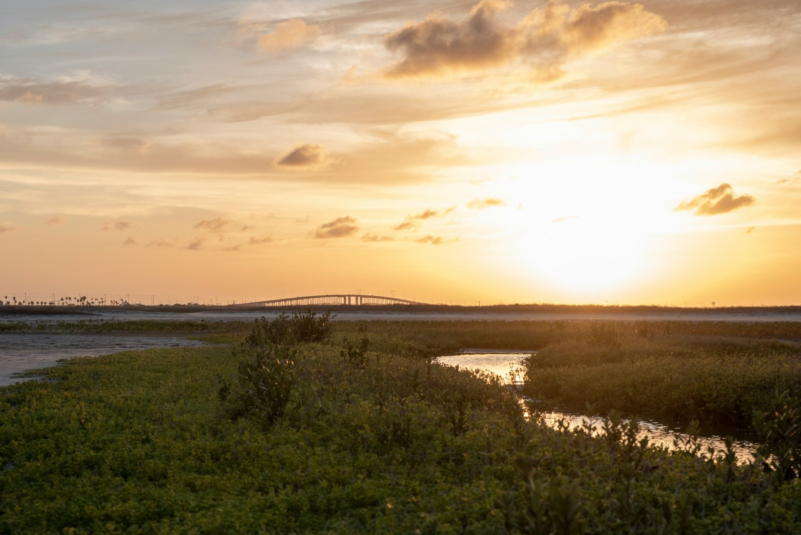 Mustang Island - Photo Credit: Photo by Trac Vu on Unsplash