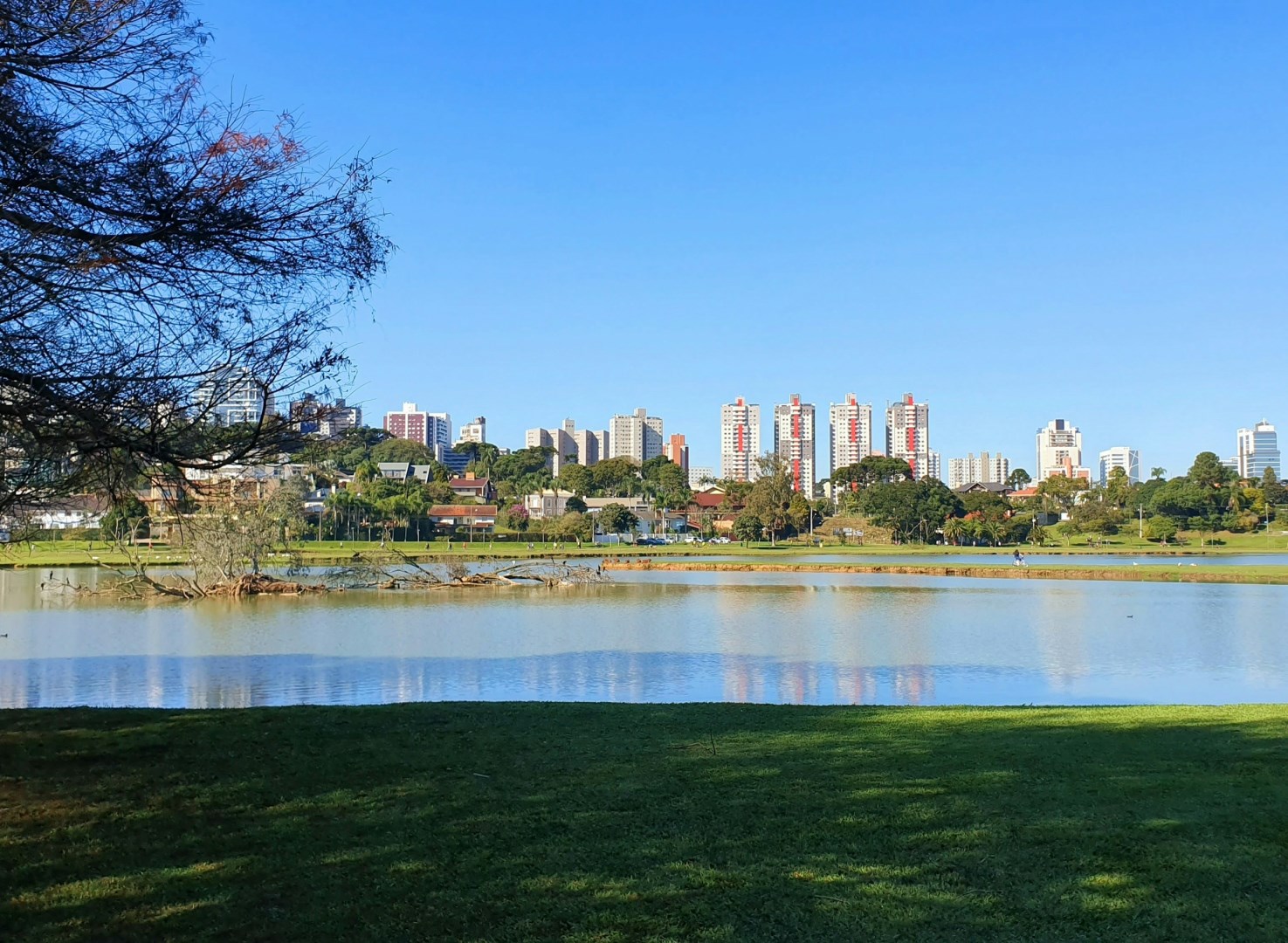 Alameda Ecologica Burle Marx - Photo Credit: Photo by GILBERTO JACOB on Unsplash