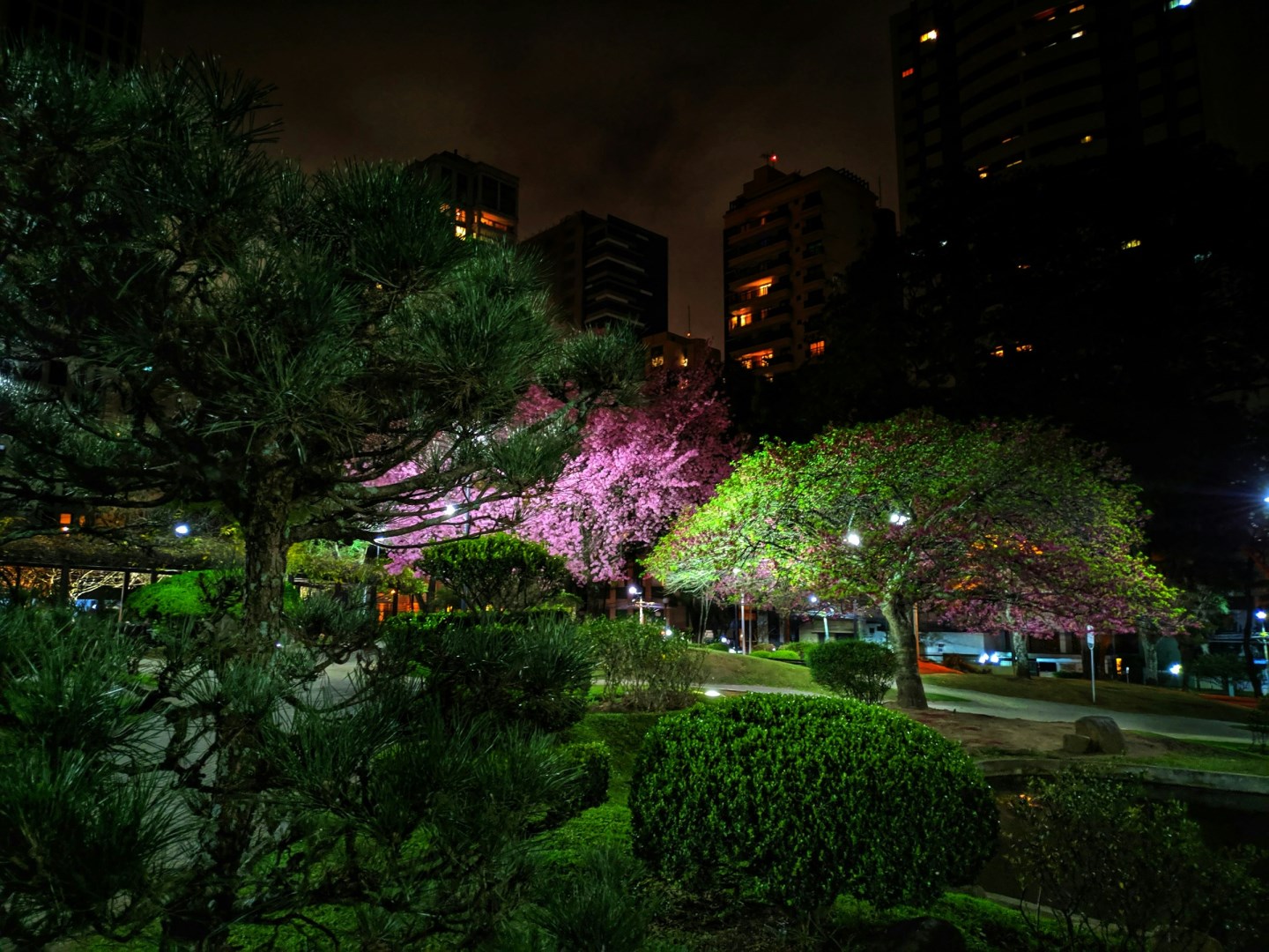  Photo Credit: Photo by Alice Yamamura on Unsplash