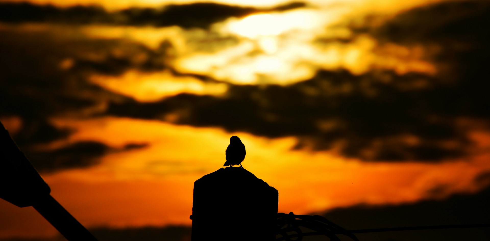 Photo Credit: Photo by Edouard TAMBA on Unsplash