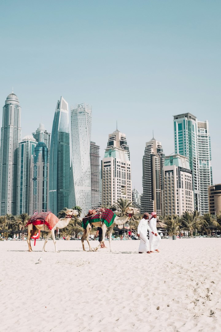  Photo Credit: Photo by Fredrik Öhlander on Unsplash