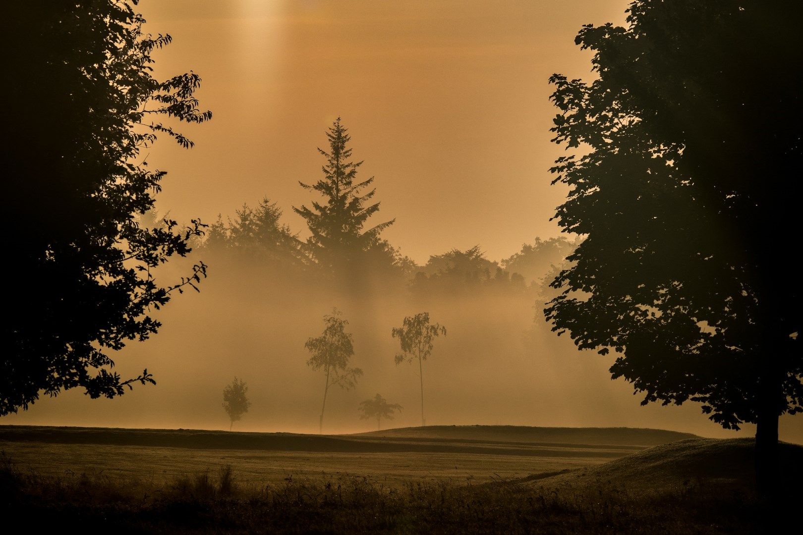  Photo Credit: Photo by Duncan McNab on Unsplash