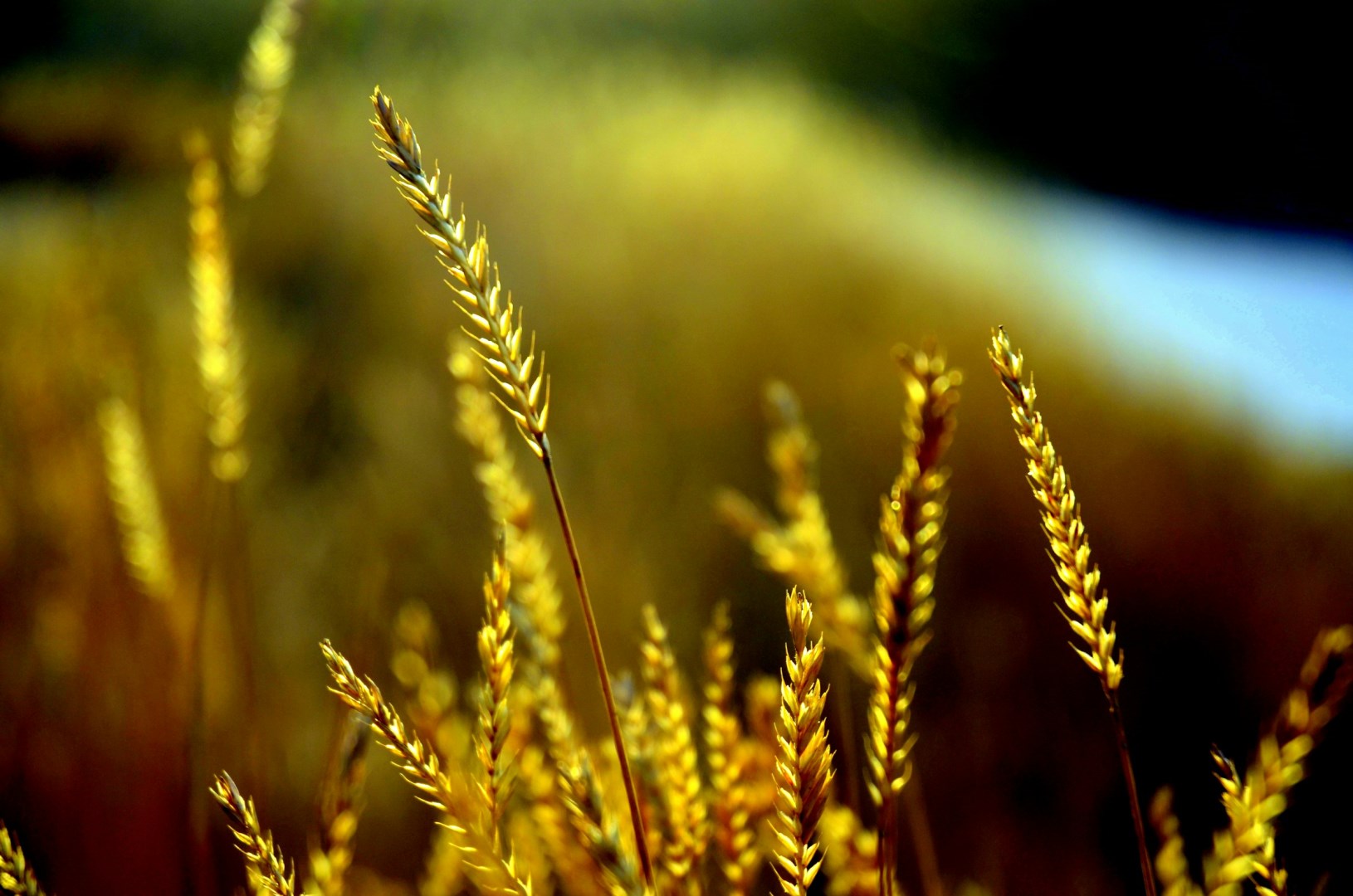  Photo Credit: Photo by Fred Amini on Unsplash