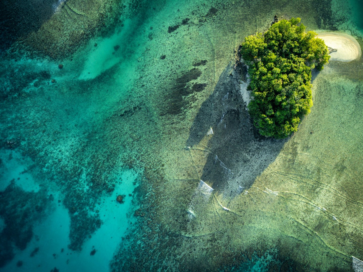 Espiritu Santo Island