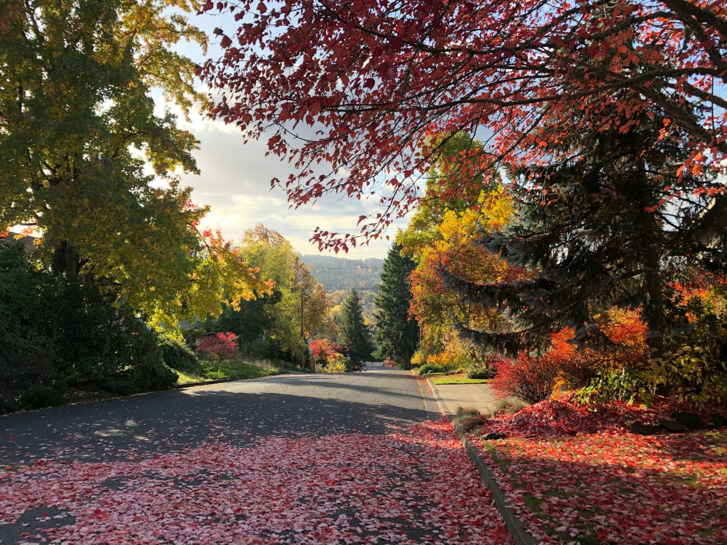 Eugene