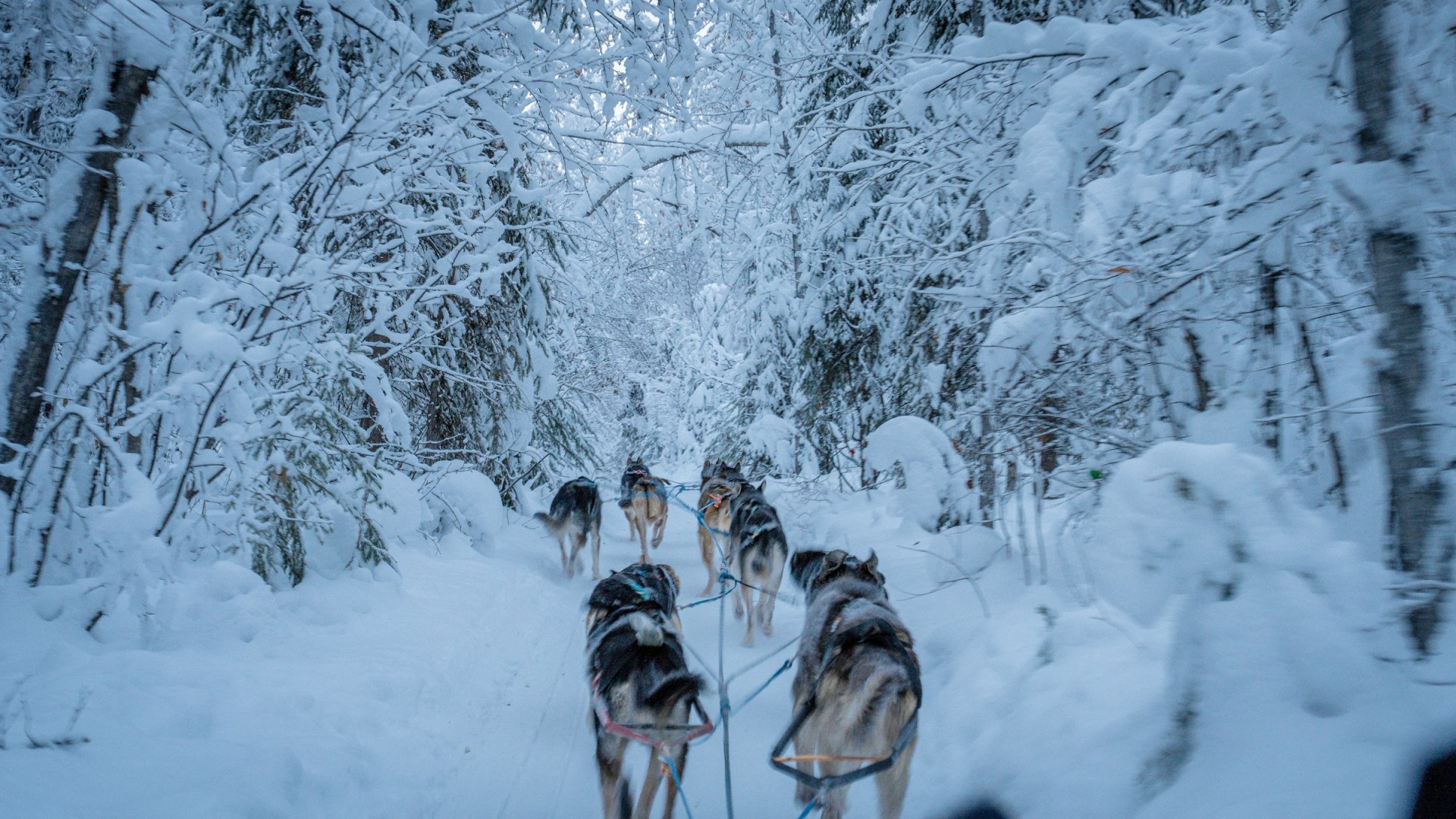  Photo Credit: Photo by Dennis Zhang on Unsplash