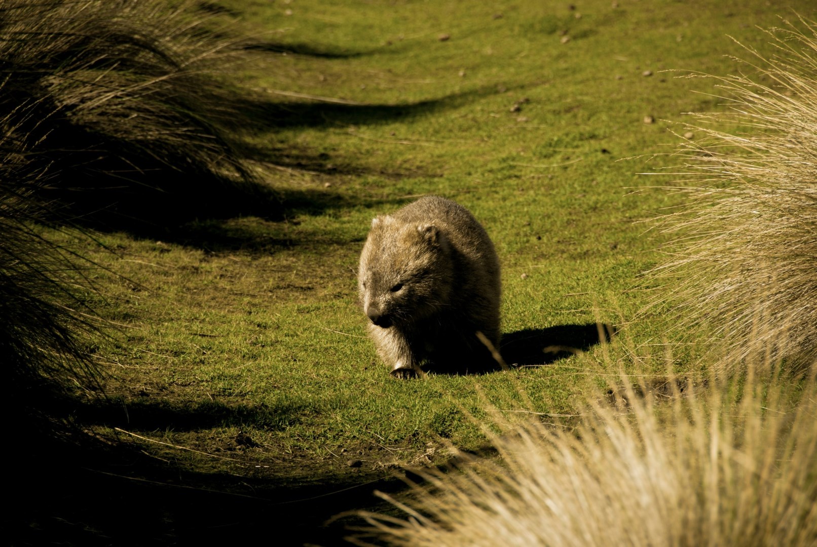 Flinders Island Tasmania