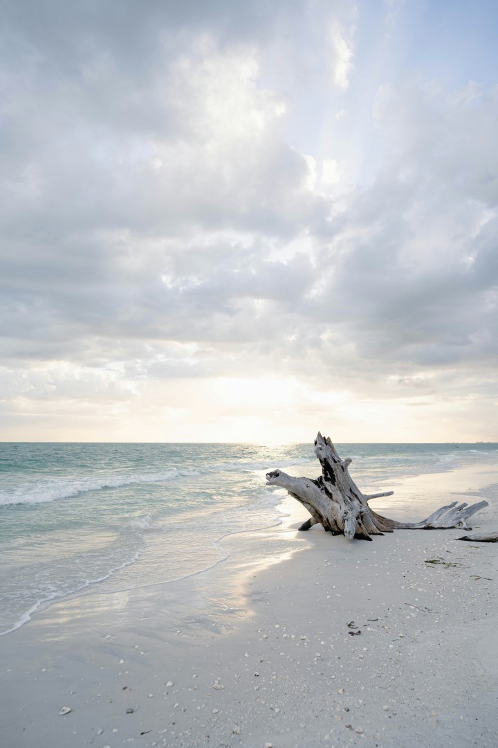 Lovers Key State Park - Photo Credit: Photo by Susie Burleson on Unsplash