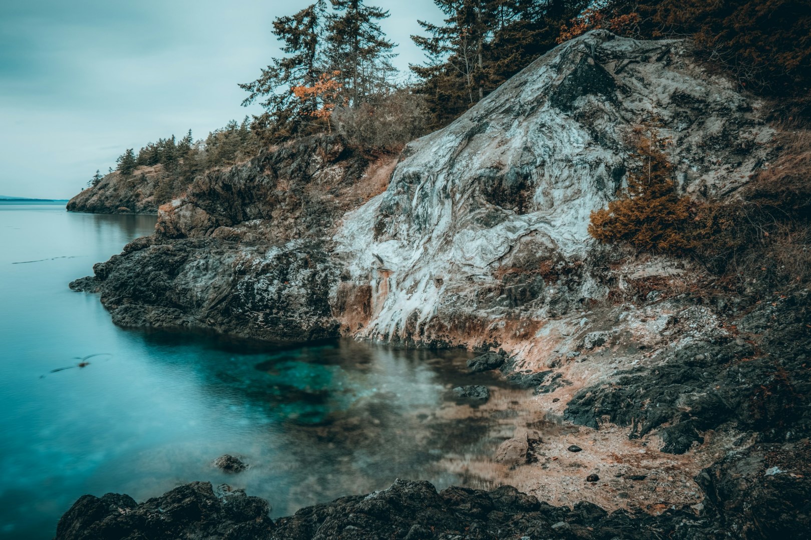 Lime Kiln Point State Park - Photo Credit: Photo by Jackson Eaves on Unsplash