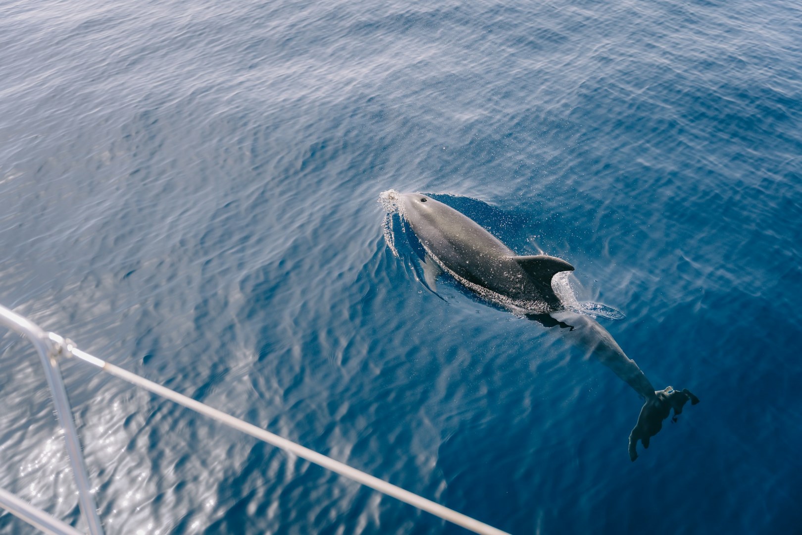  Photo Credit: Photo by Benaja Germann on Unsplash