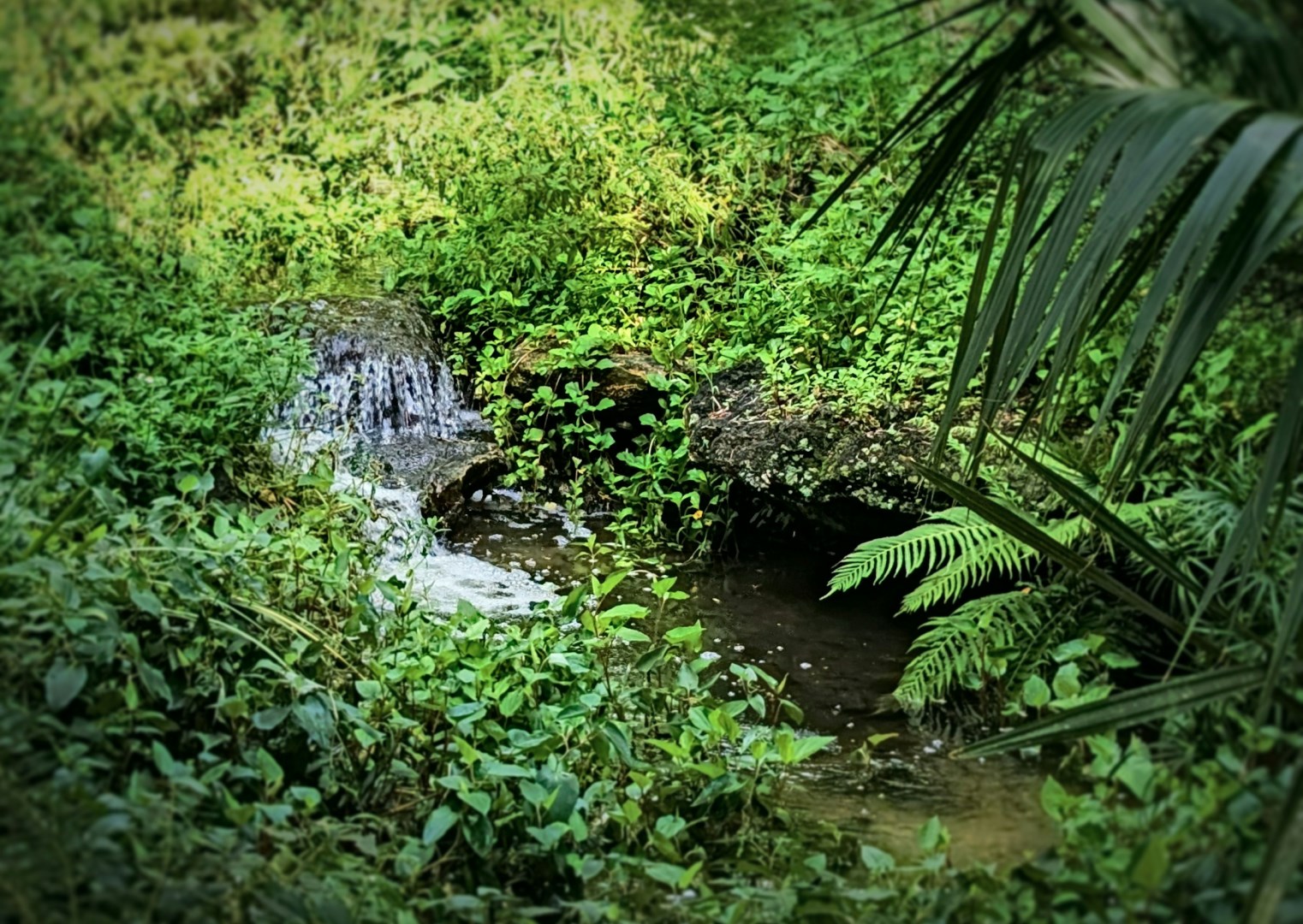 Gainesville