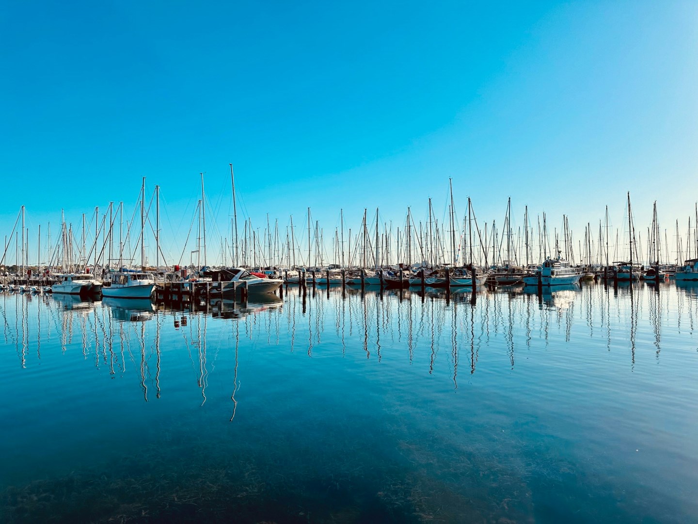  Photo Credit: Photo by Carl Beech on Unsplash