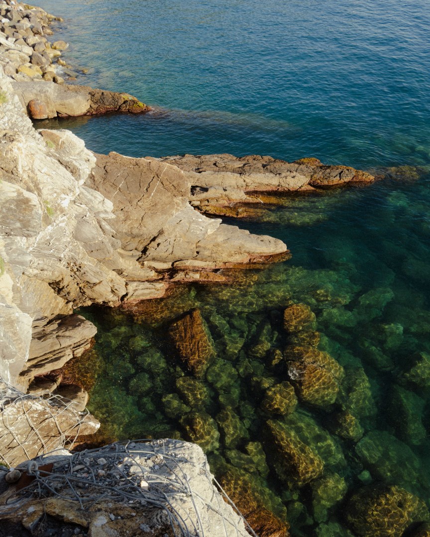 Camogli - Photo Credit: Photo by Grigorii Shcheglov on Unsplash