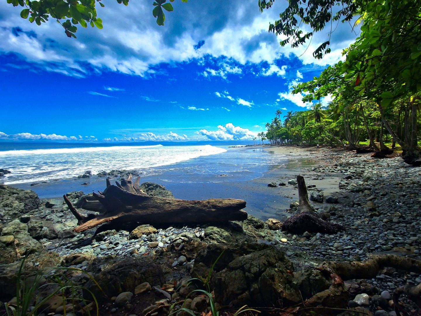 Playa Pavones - Photo Credit: Photo by Armando Miranda on Unsplash