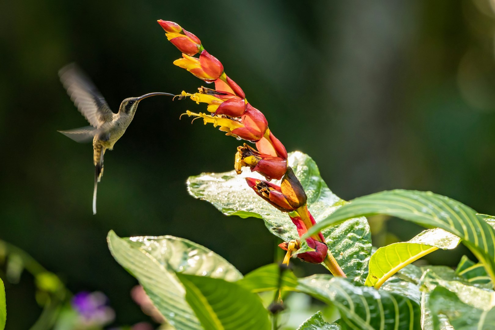  Photo Credit: Photo by César Badilla Miranda on Unsplash
