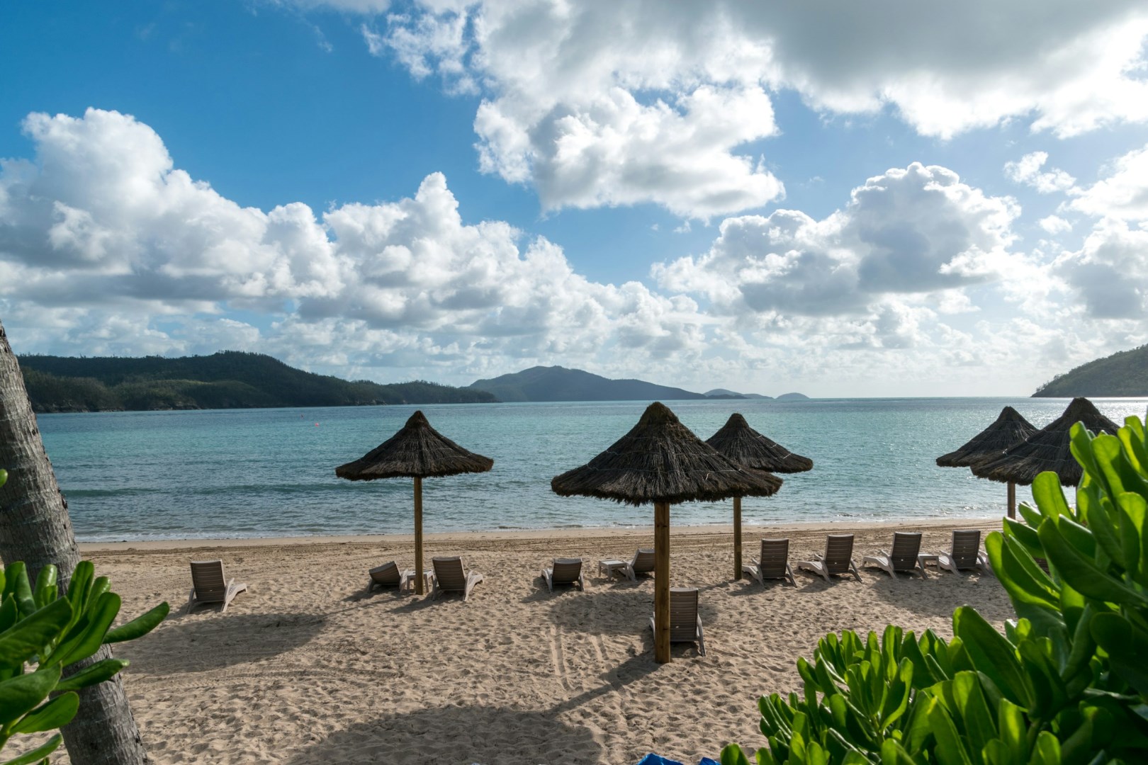  Photo Credit: Photo by Vladimir Haltakov on Unsplash