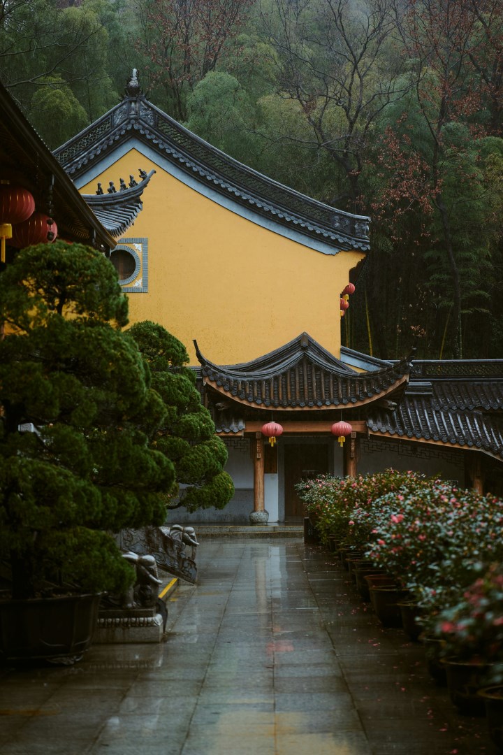  Photo Credit: Photo by 一只猫的橘 on Unsplash