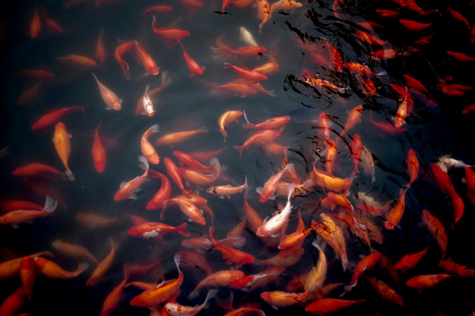 Hangzhou