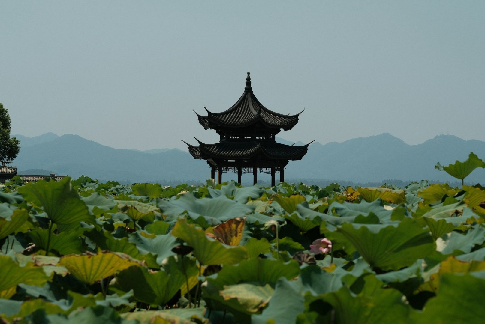 Photo Credit: Photo by Dominic Kurniawan Suryaputra on Unsplash