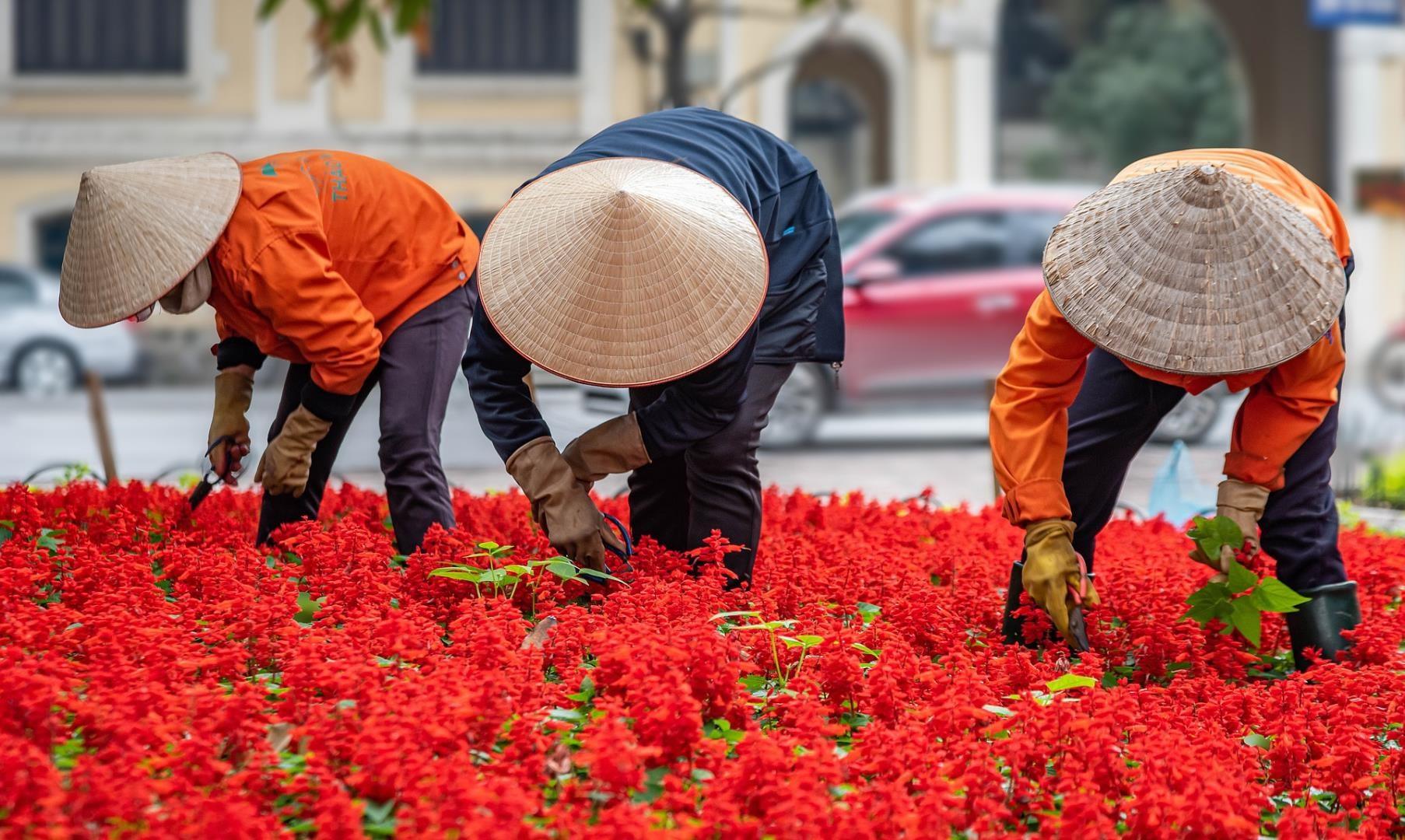 Hanoi, Vietnam Hanoi, Vietnam - Photo Credit: Nimrod Oren