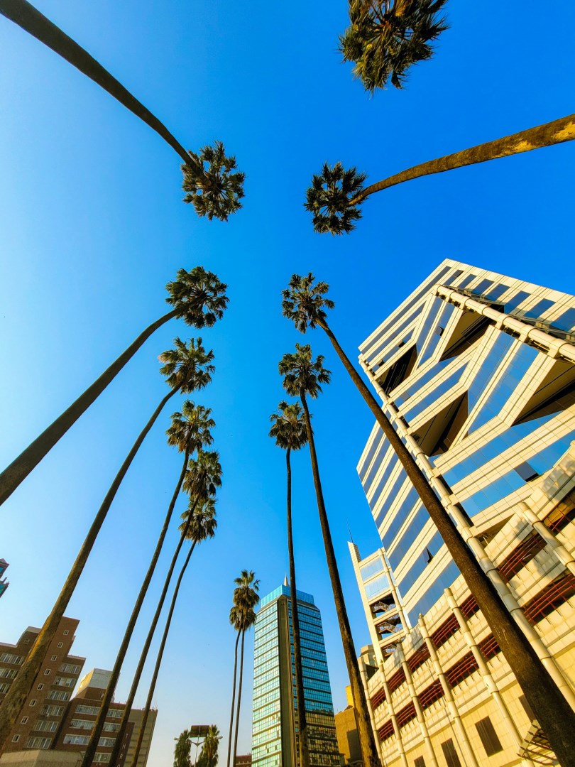  Photo Credit: Photo by stan mpakati on Unsplash