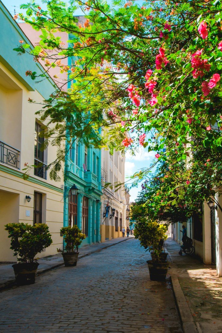  Photo Credit: Photo by Diego van Sommeren on Unsplash