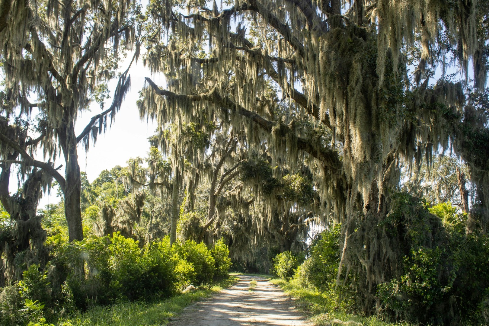  Photo Credit: Photo by LaDawn Preuninger on Unsplash