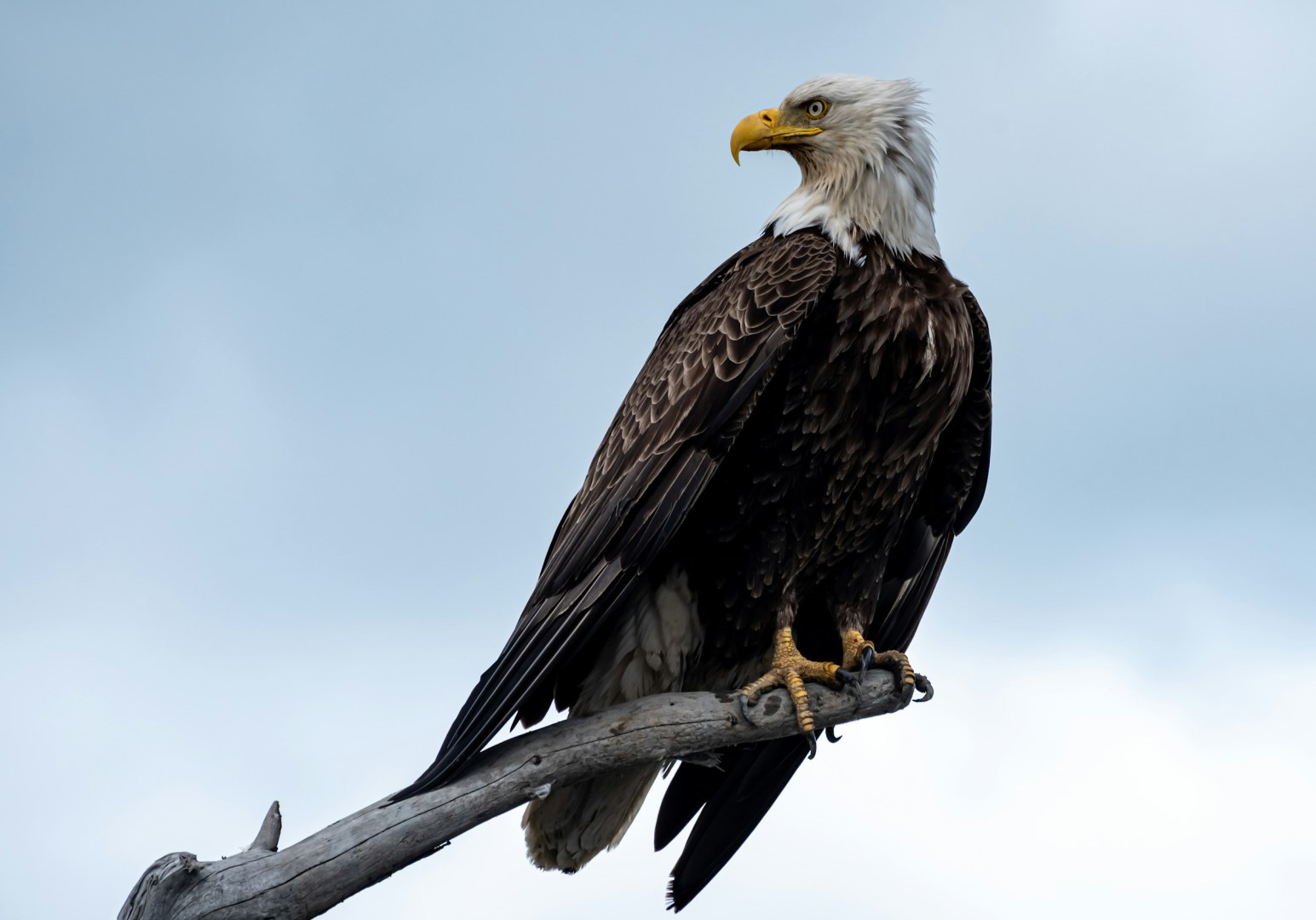  Photo Credit: Photo by Elan smith on Unsplash