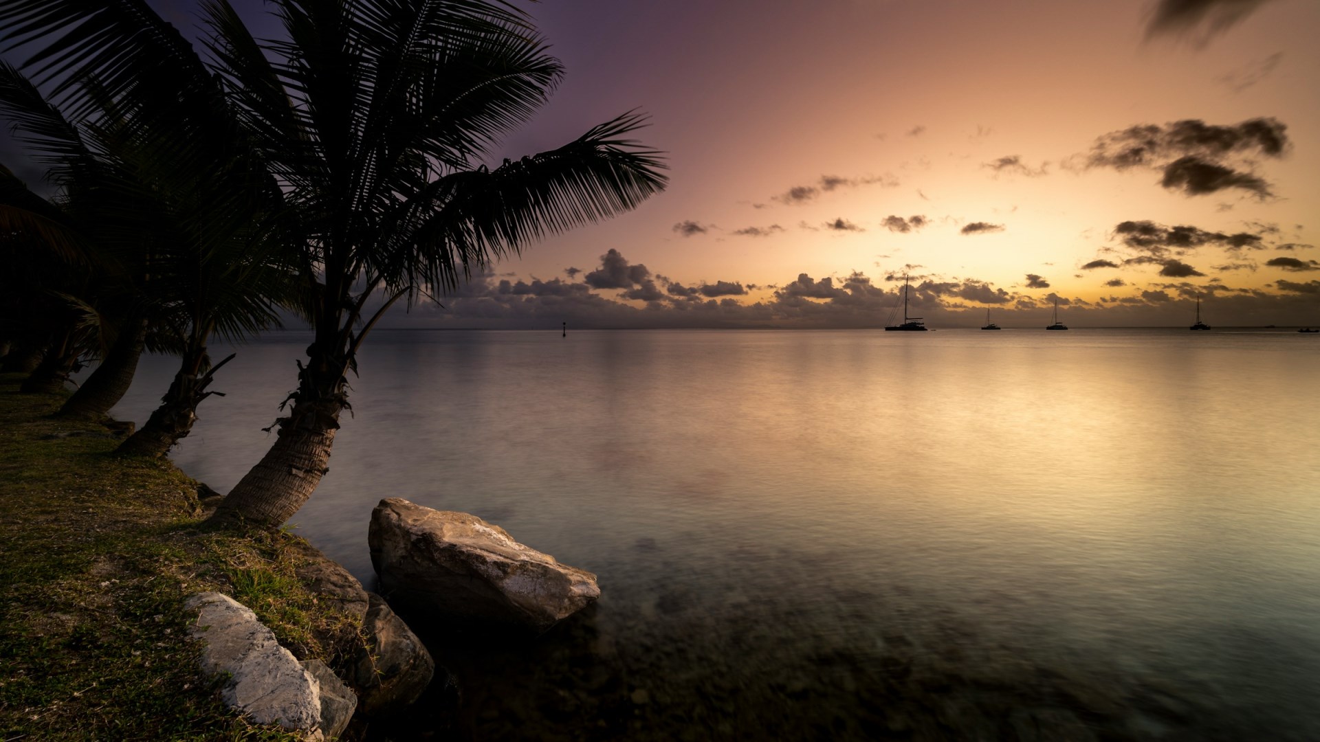  Photo Credit: Photo by Fabien BELLANGER on Unsplash