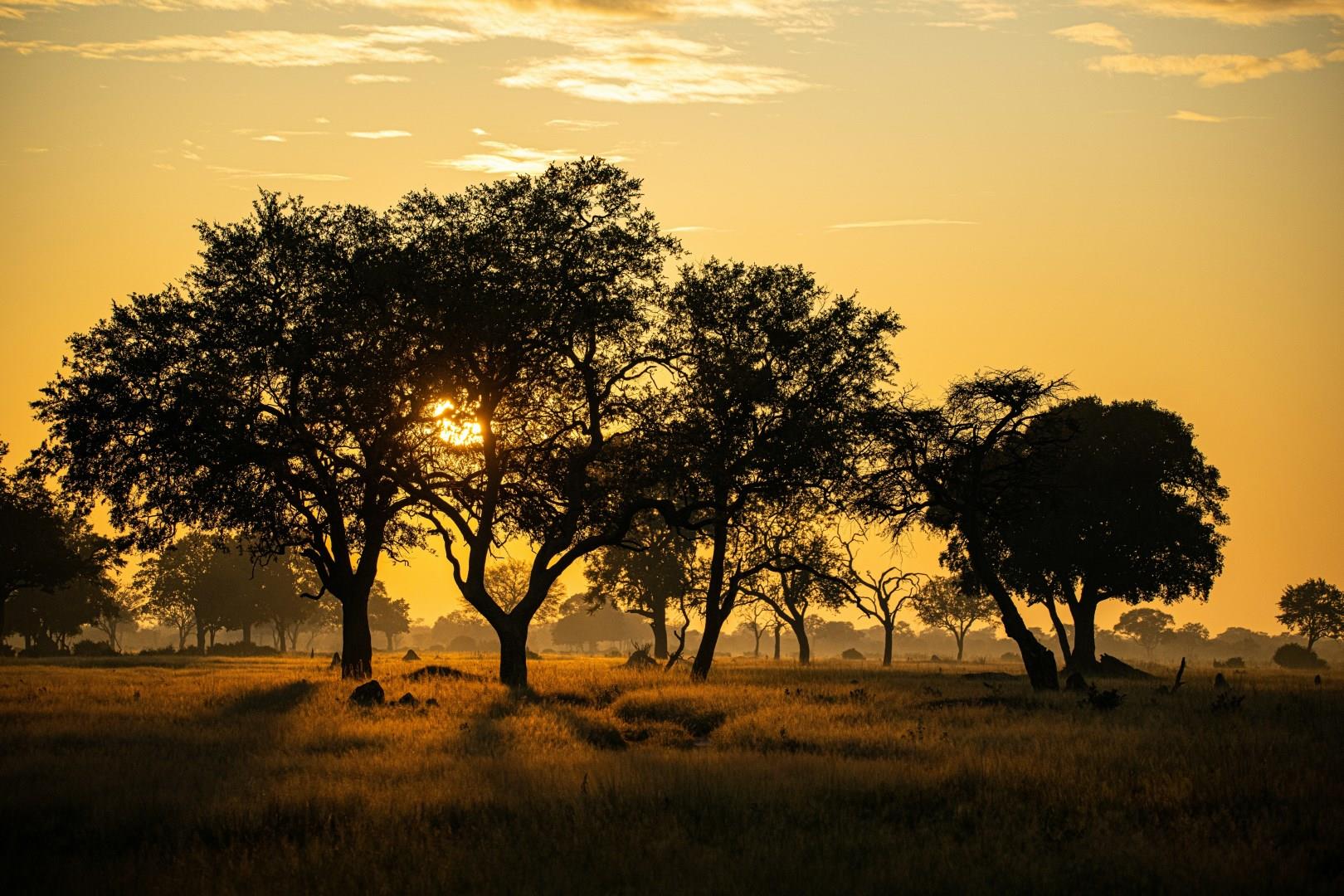 Hwange National Park