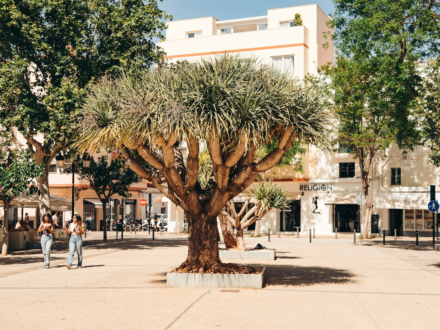  Photo Credit: Photo by Bjorn Agerbeek on Unsplash