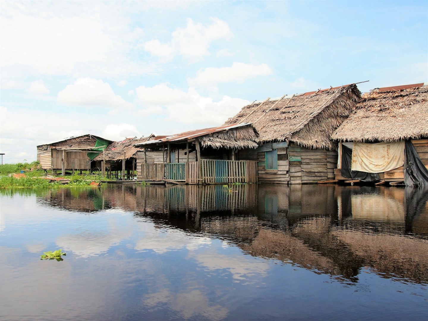Iquitos