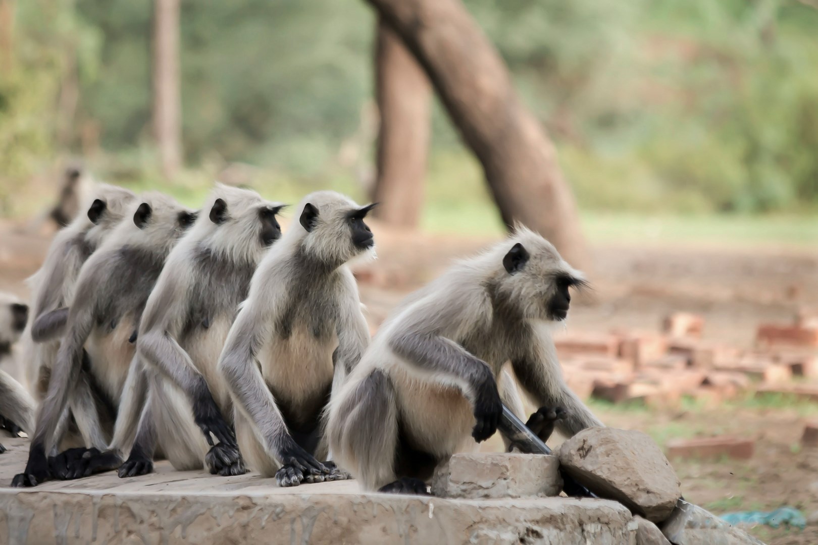  Photo Credit: Photo by Chirayu Sharma on Unsplash