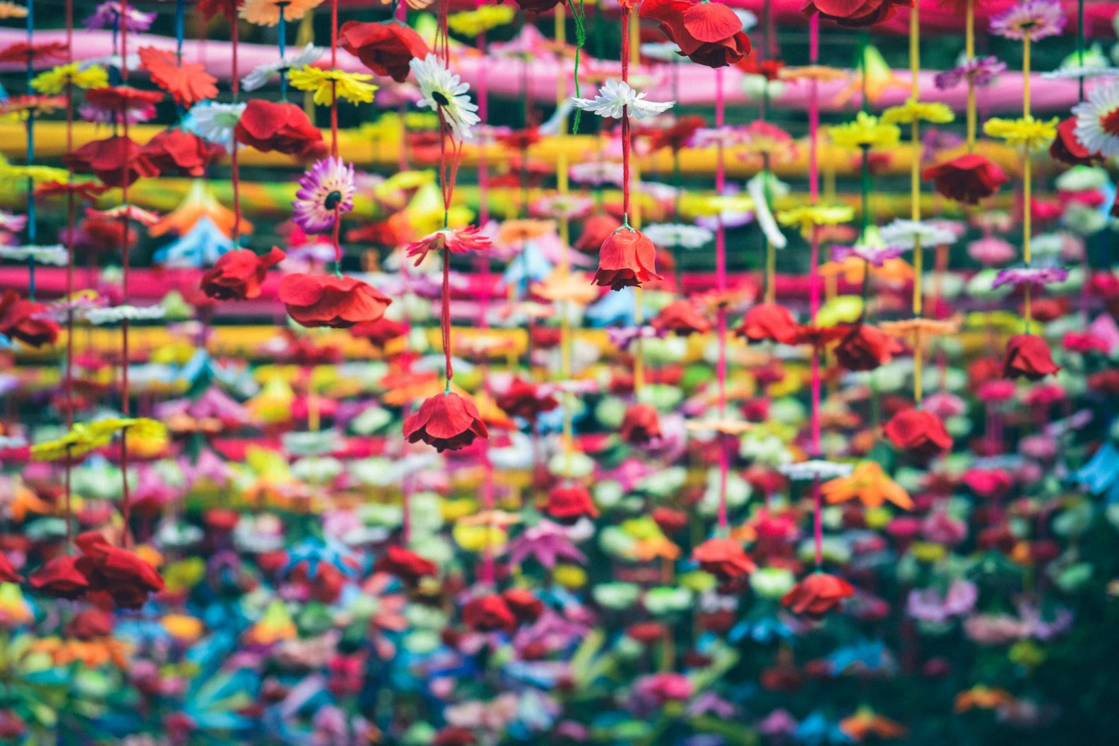  Photo Credit: Photo by Nikunj Gupta on Unsplash
