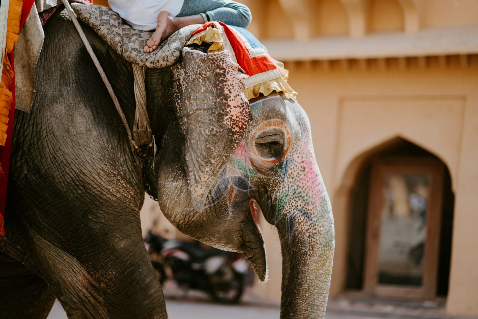  Photo Credit: Photo by Annie Spratt on Unsplash