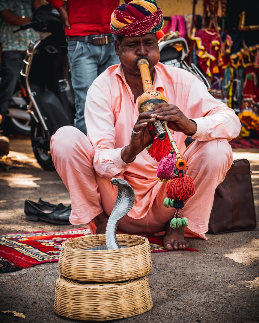  Photo Credit: Photo by Jeet Dhanoa on Unsplash