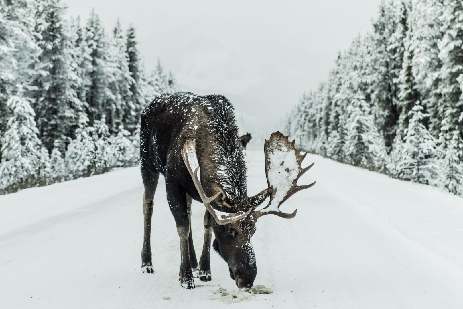  Photo Credit: Photo by Ivars Krutainis on Unsplash