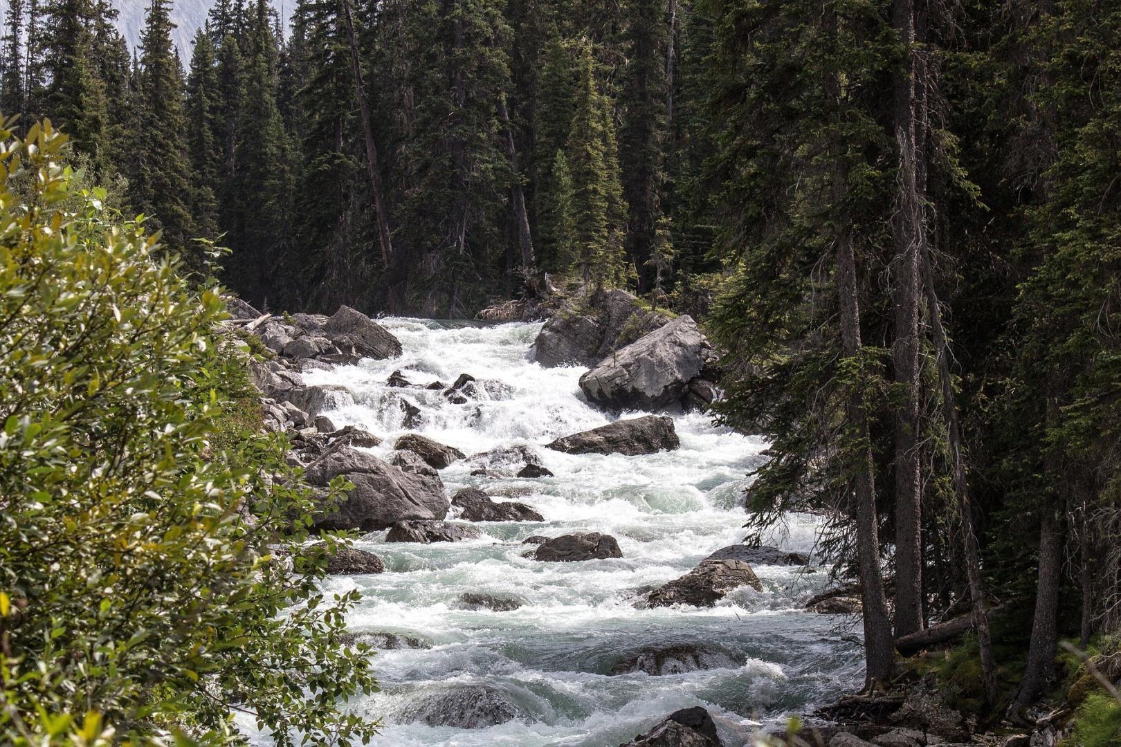 Jasper, Alberta Jasper, Alberta - Photo Credit: Dennis Larsen