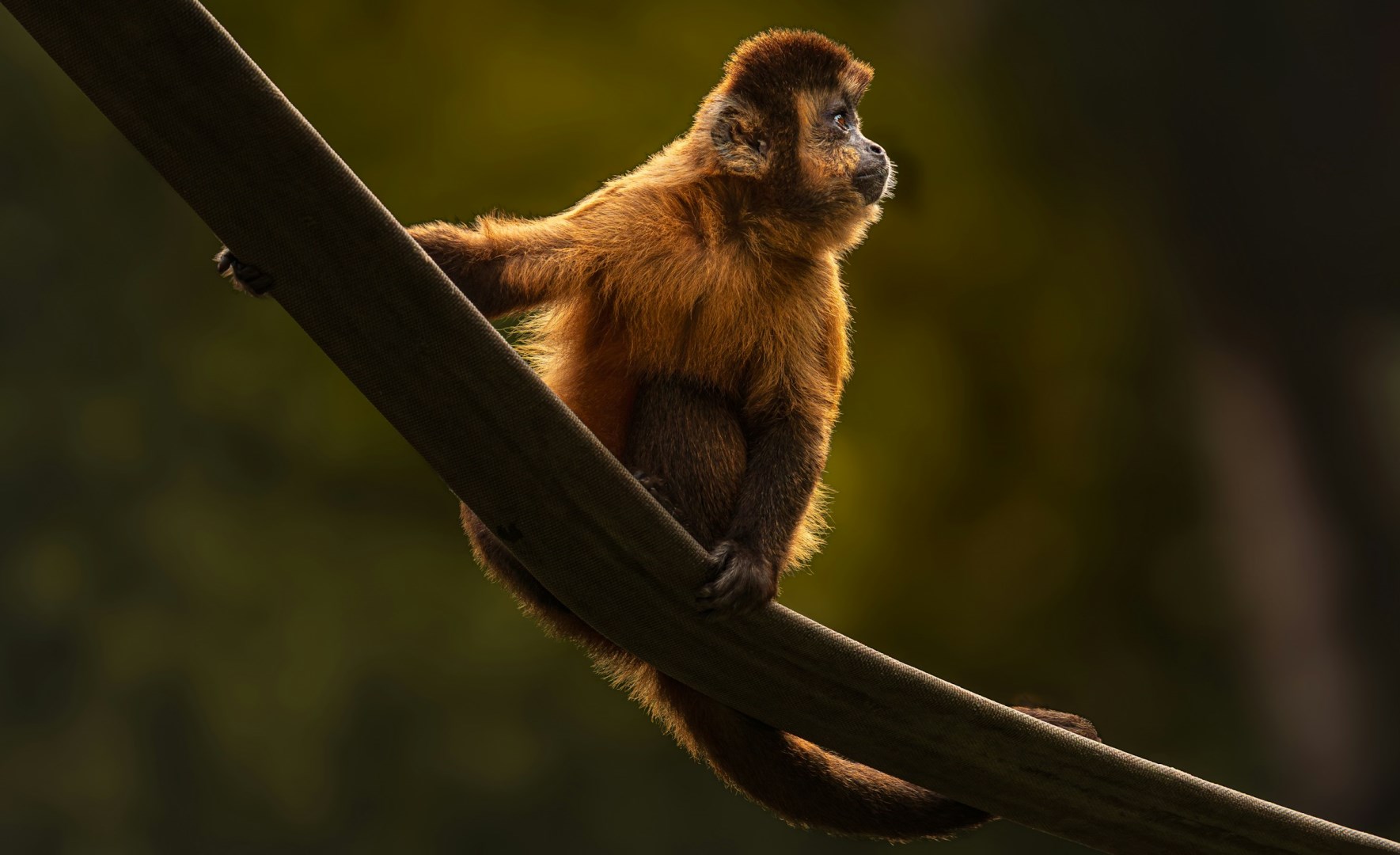  Photo Credit: Photo by Edson Junior on Unsplash