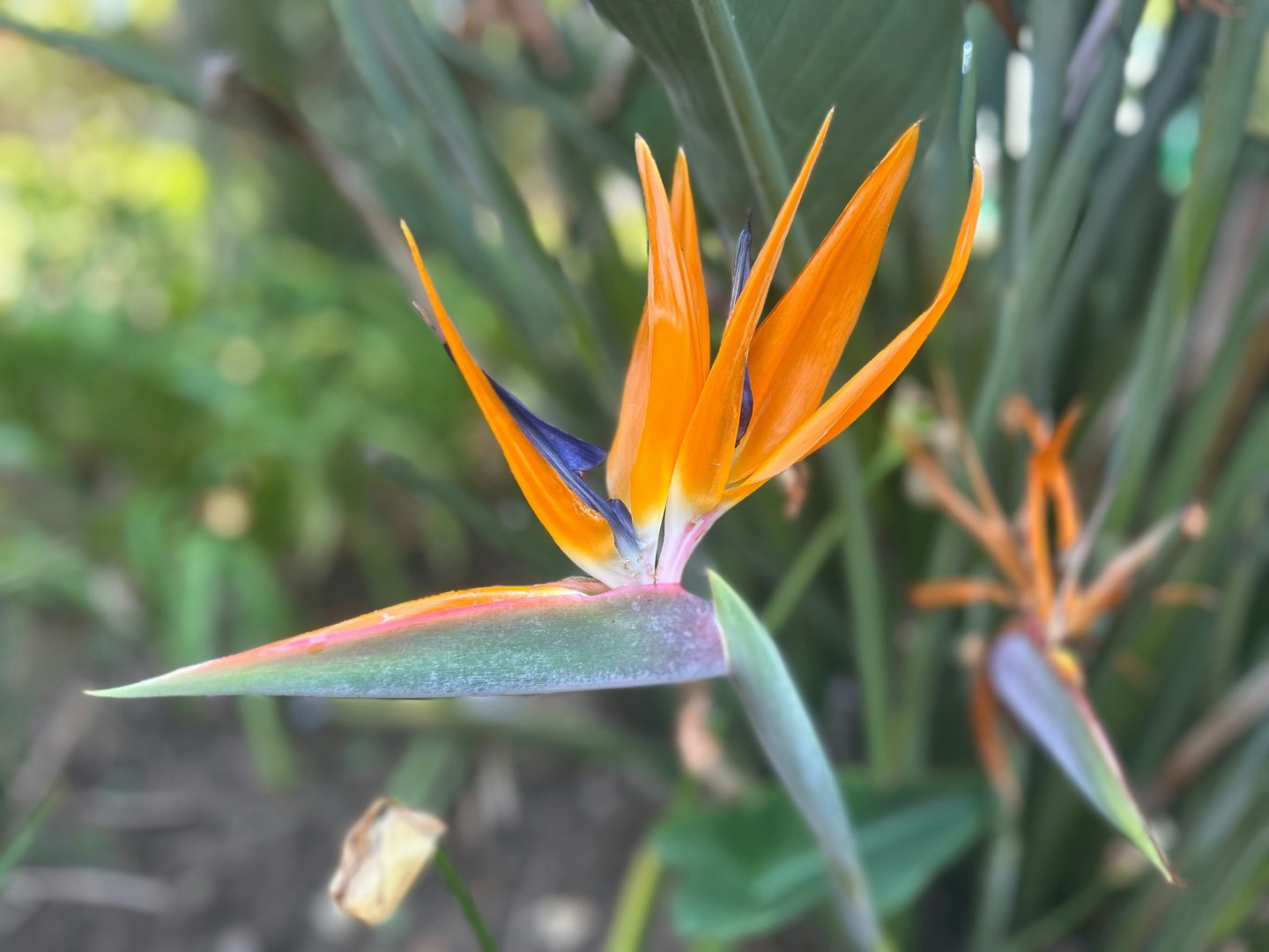  Photo Credit: Photo by Vonita Buirski on Unsplash