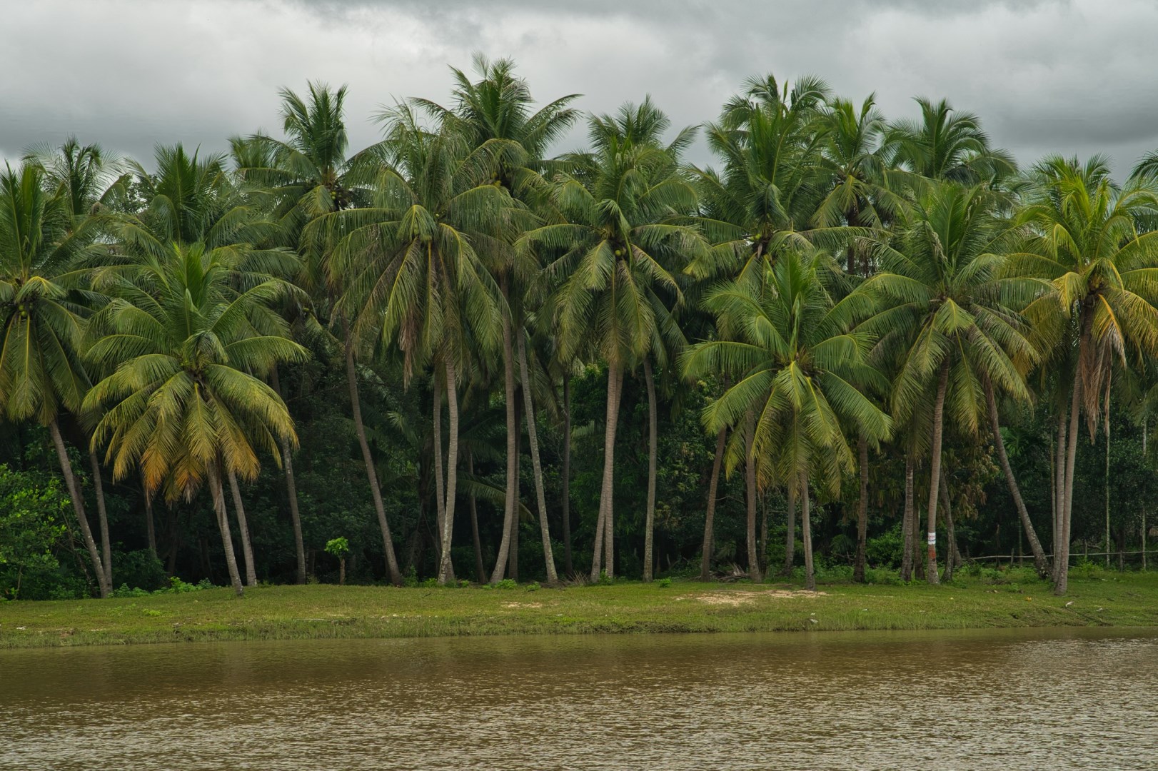  Photo Credit: Photo by Aritra Roy on Unsplash