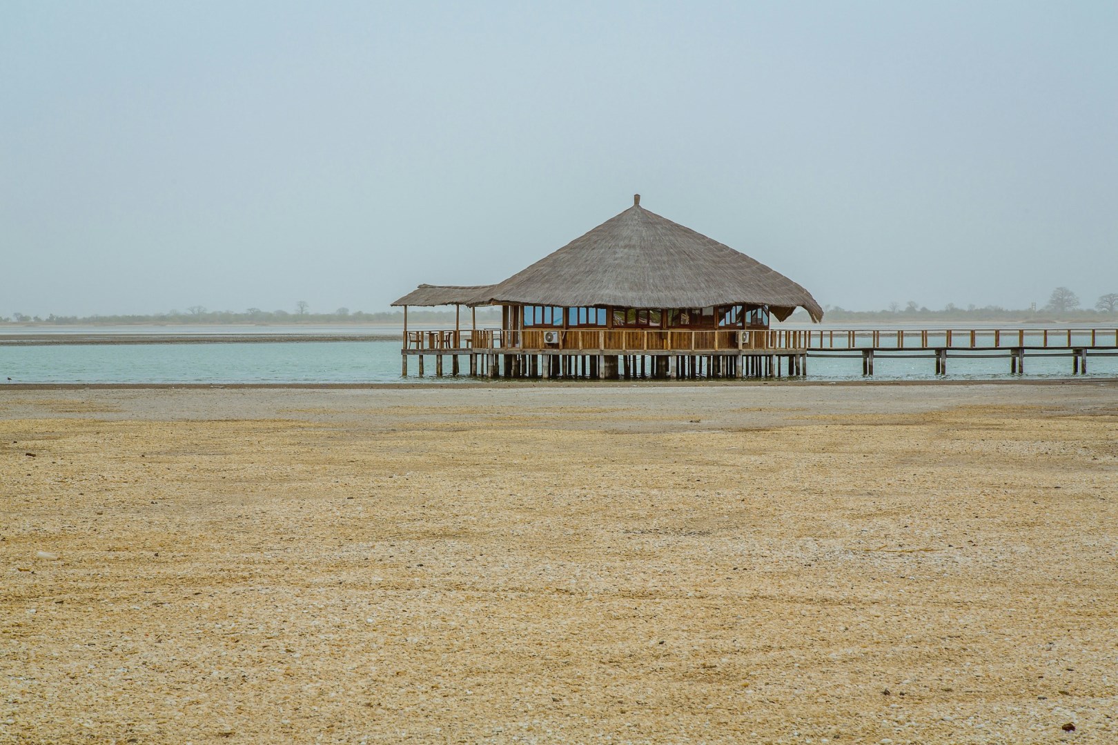  Photo Credit: Photo by aliunix on Unsplash