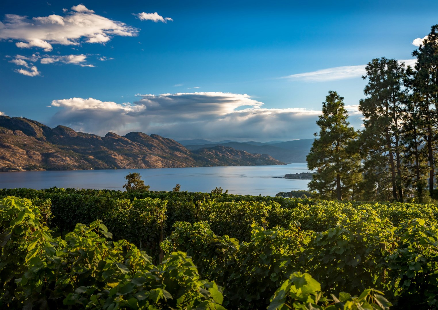 Kelowna