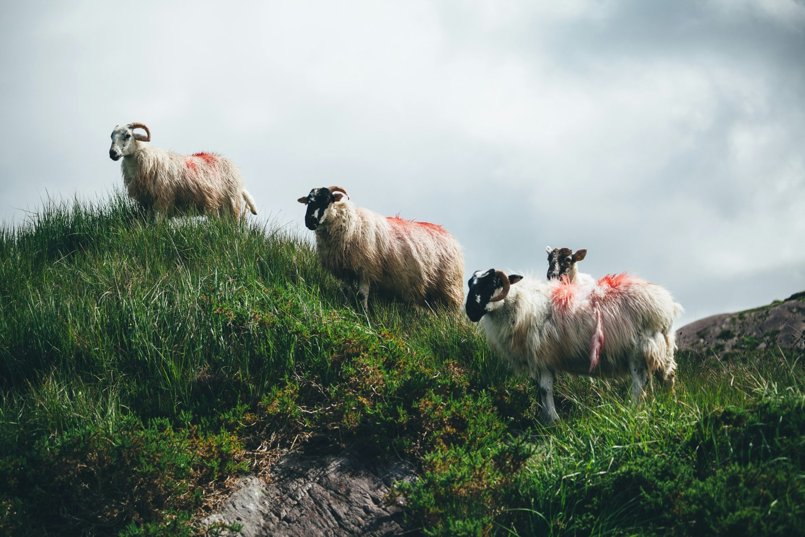  Photo Credit: Photo by Jesse Gardner on Unsplash