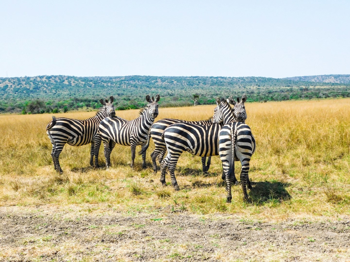  Photo Credit: Photo by Emmy Shingiro on Unsplash