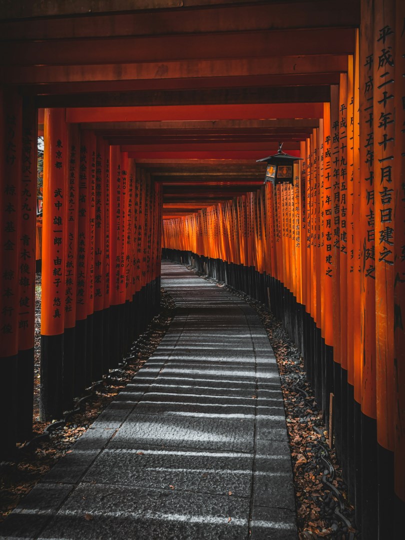  Photo Credit: Photo by D J on Unsplash