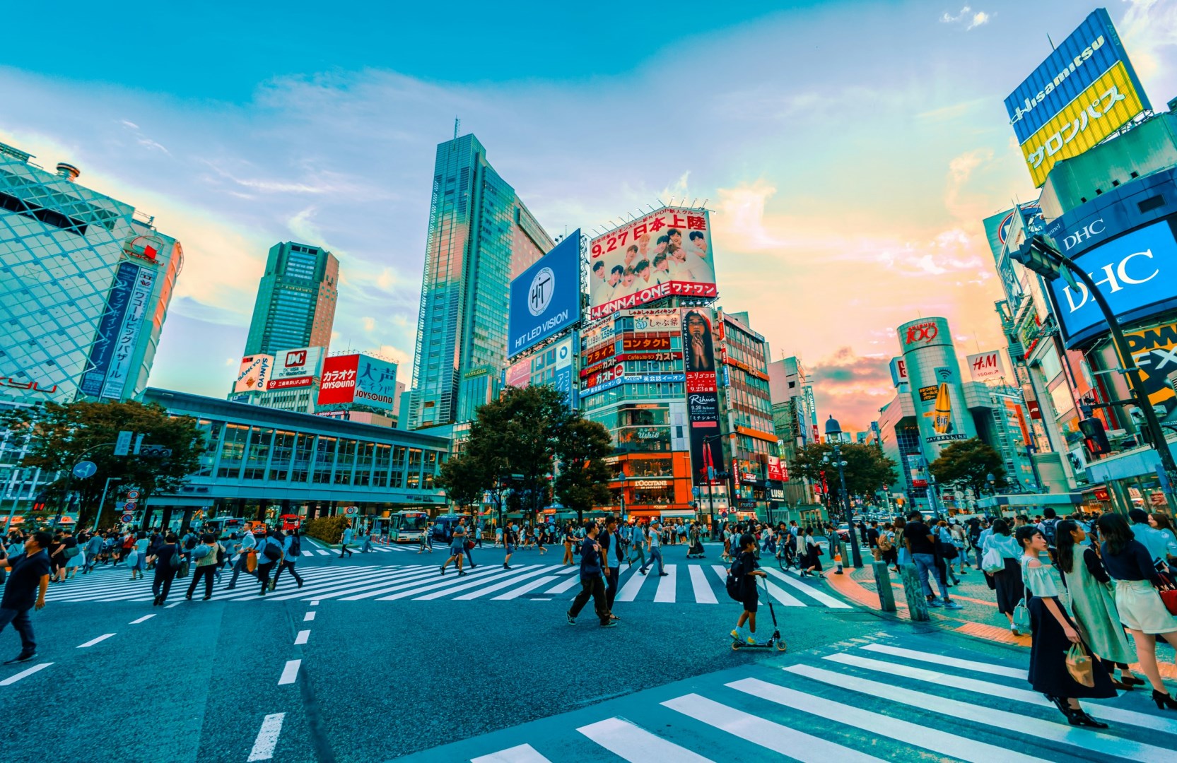  Photo Credit: Photo by Jezael Melgoza on Unsplash