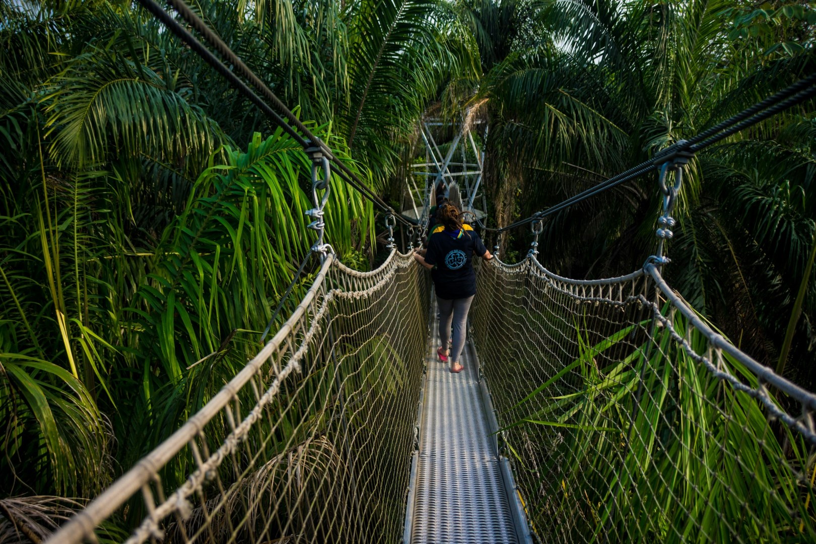 Canopy Walk - Photo Credit: Photo by Omotayo Tajudeen on Unsplash